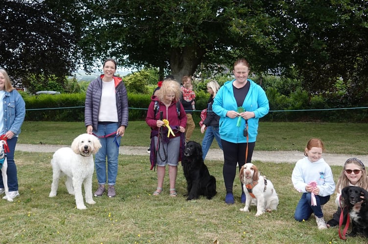 Bere Alston Fun Day top pooches at the event dog show. Left to right: First to fifth prize winners in the crossbreed class. The winner was Flash with owner Adele Walter. Picture by Ann Parsons.