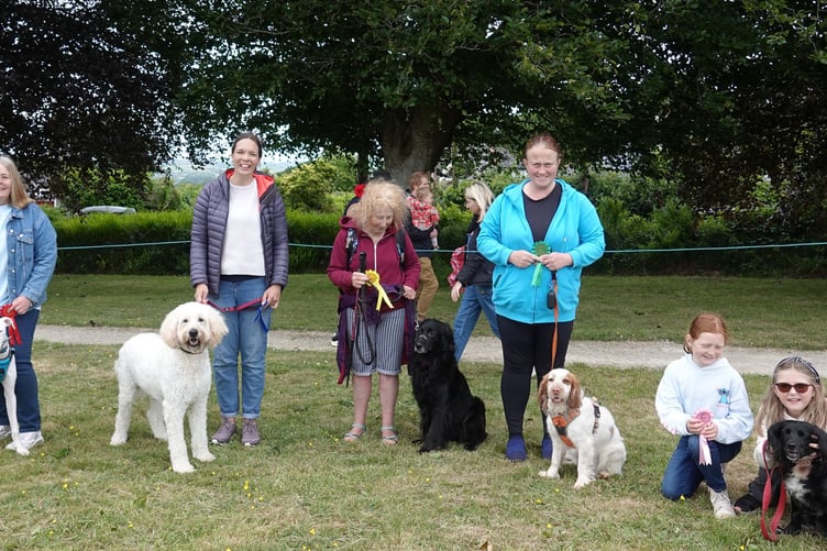 Bere Alston Fun Day top pooches at the event dog show. Left to right: First to fifth prize winners in the crossbreed class. The winner was Flash with owner Adele Walter. Picture by Ann Parsons.