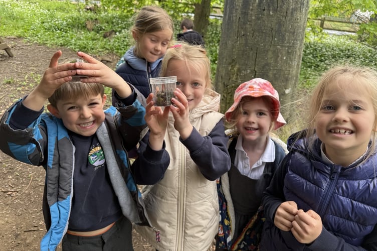 Local primary school children from Okehampton and Plymouth getting up close and personal to bugs as they studied their habitats at Nethercott House. (Picture: Farms for City Children)