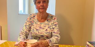 Tavistock scooter collision victim calls for safety clampdown