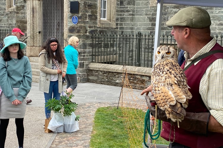 Tavistock Garden Festival's falconry display.
