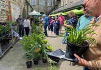 Tavistock garden festival draws green-fingered visitors