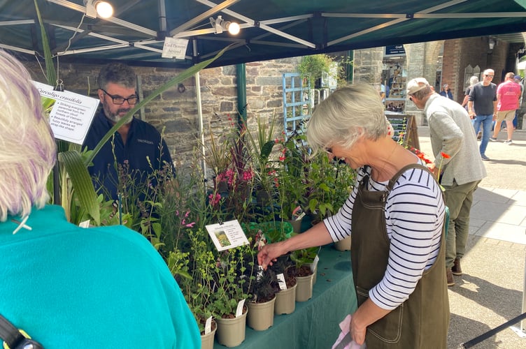 Tavistock Garden Festival attracted plant lovers at Bank Holiday weekend.