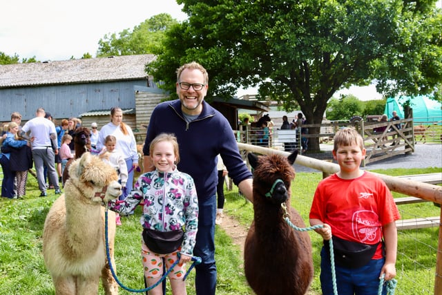 Half-term alpaca fun at Woolley Animals