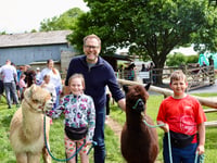 Half-term alpaca fun at Woolley Animals