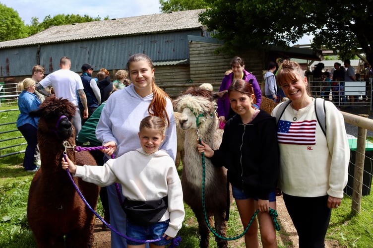 Participants were matched with alpacas before setting off