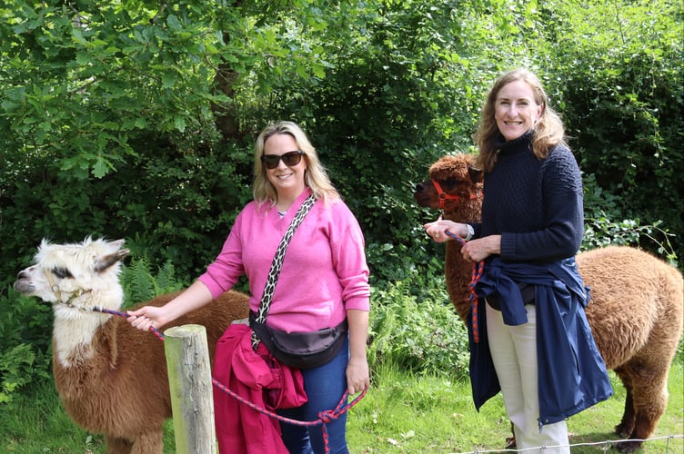 Participants enjoying the walk