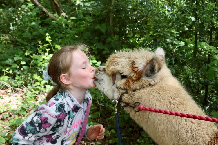 A 'carrot kiss'