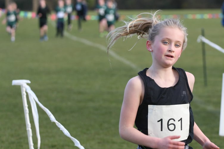 West Devon Primary Schools Cross Country - straining for the finish line.