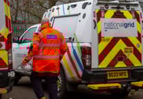 Tavistock faces power outage: 279 homes affected