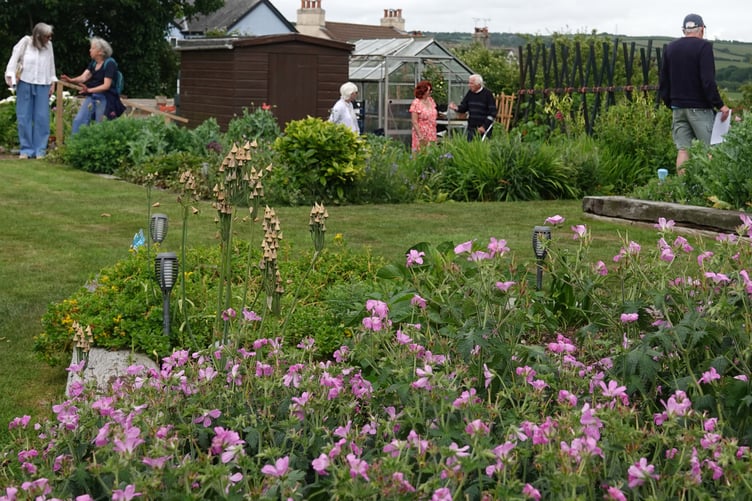 Bere Ferrers gardens 8Ann Parsons