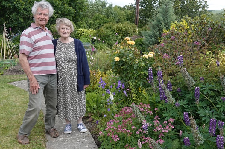 Bere Ferrers open gardens 2. Picture by Ann Parsons.