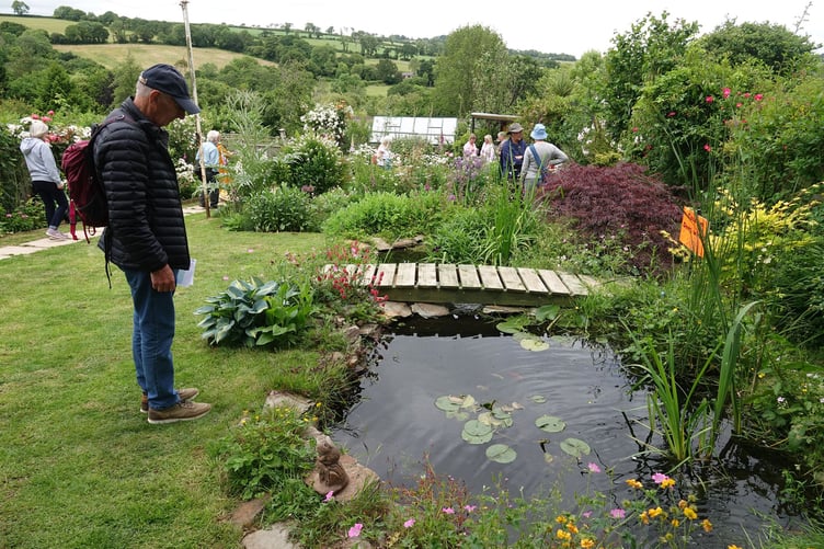 Bere Ferrers open gardens. 6. Picture by Ann Parsons.