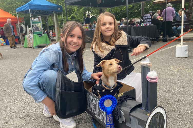 Tavistock Steam Fair dog show