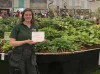 Plant nursery takes Chelsea Flower Show by storm