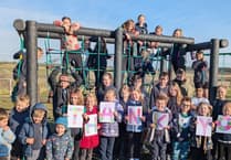 Boasley Cross Primary School play equipment celebration