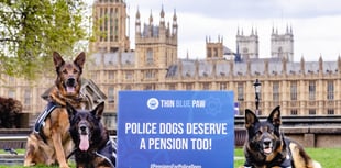 No more ruff justice for retired police dogs