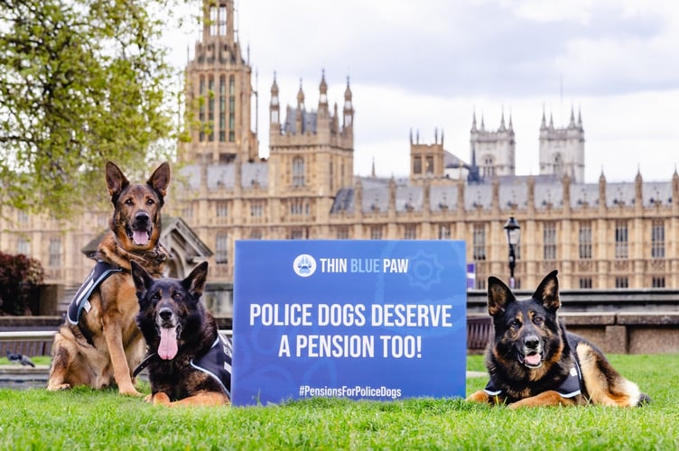 Paws for thought - a pension for police dogs too