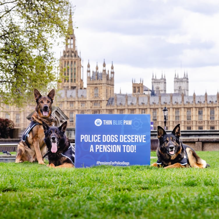 Paws for thought - a pension for police dogs too