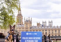 Ruff justice for retired police dogs