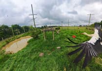 Devon return for storks after rewilding