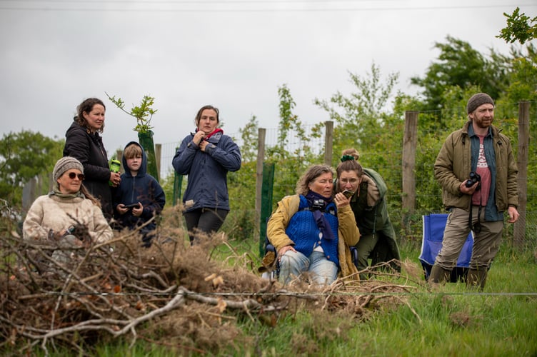 The stork release team see their pride and joy released into the Devon skies. 