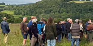 Open Farm Sunday sees welcome on local farms