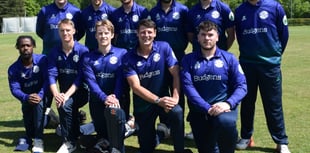 T20 tournament triumph for Bridestowe