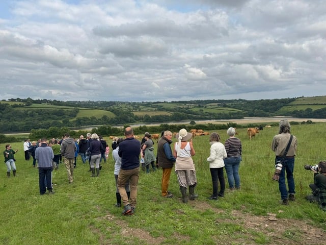 The public welcomed onto Haye Farm to see it's organic cattle and vegetable operation. Picture by Kate Maciver-Redwood.
