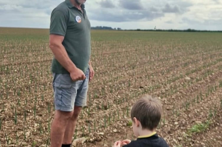 The public welcomed for Open Farm Sunday onto Haye Farm to see it's organic cattle and vegetable operation. Picture by Kate Maciver-Redwood.
