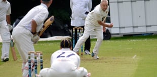 Sting in the tail for Tavistock cricketers