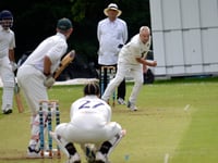 Sting in the tail for Tavistock cricketers