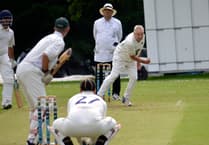 Bees delivers a sting in the tail for Tavistock 2nd XI cricketers