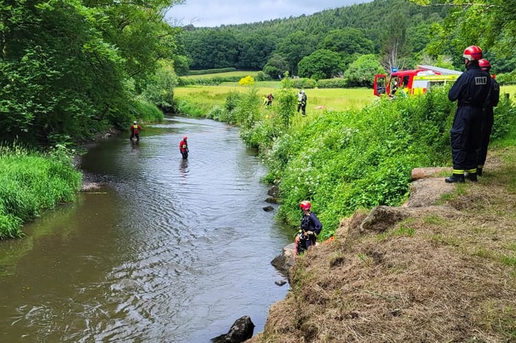 Tavistock Fire and Rescue teams rescued a sheep which fell into the River Tamar at Gulworthy on Wednesday, June 11.