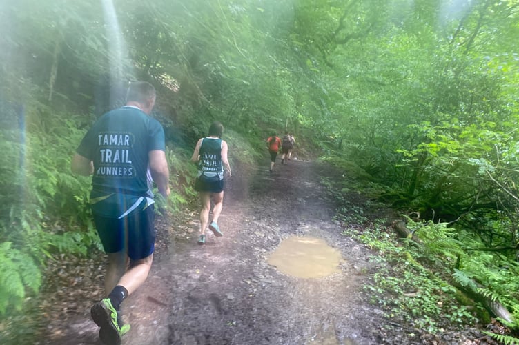 Tamar Trails Running Club members concentrating on the tricky muddy route of the Buckland Bounder cross-country race as part of Buckland Monachorum Fair.