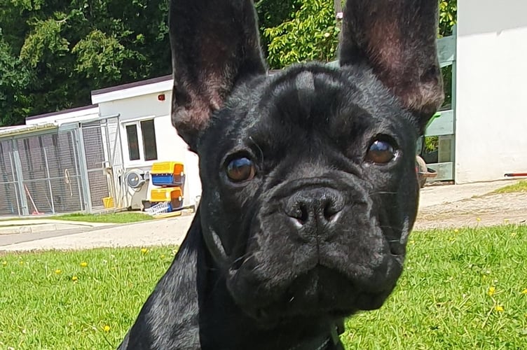 Valentino was born on Valentines Day.