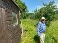 Community orchard event open to all