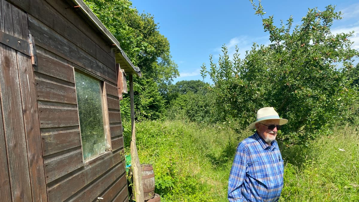 Community orchard event open to all