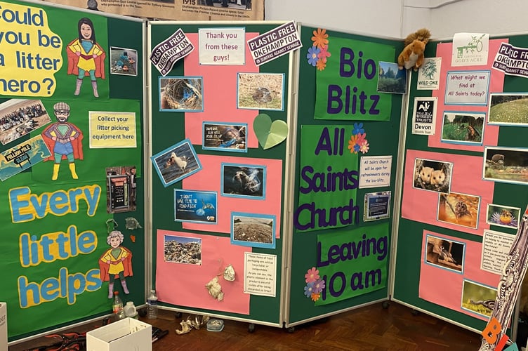 The Bio-blitz area at All Saints Church.