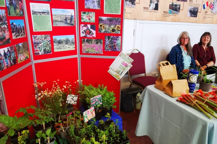 Okehampton Community Garden selling fresh produce and pollinator plants.