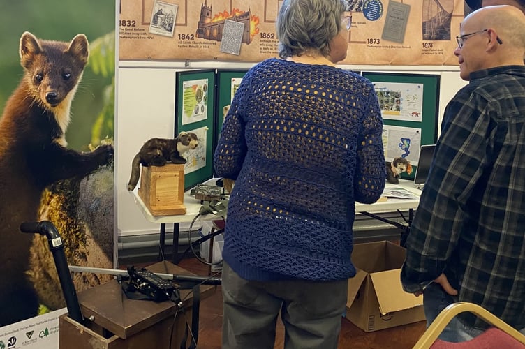 Devon Wildlife Trust with the Two Moors Pine Marten Project.