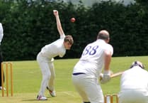 Cricket: Tavi weathers five-wicket defeat against Abbotskerswell