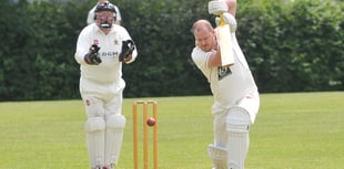 Tavi 2nd XI retain promotion position