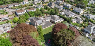 Charming features and quality care at Chollacott House 