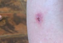 Calstock riverside avoided as residents live in fear of 'horrific' insect bites