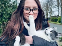 Isle of Man couple to collect cat who hitched 400 miles to Tavistock