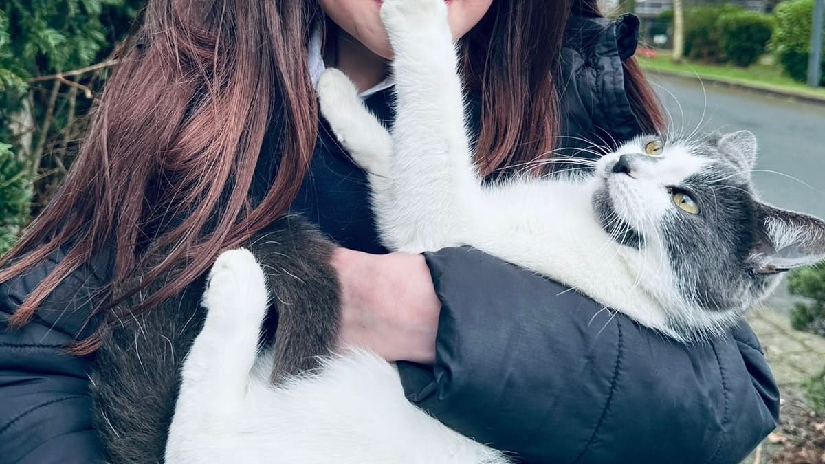 Meet Dusty: The Hospital Dog Bringing Joy to Patients
