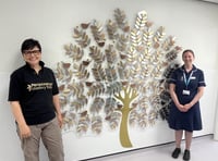 New Memory Tree at Derriford to remember baby loss