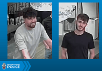 Police appeal after Plymouth sex assault