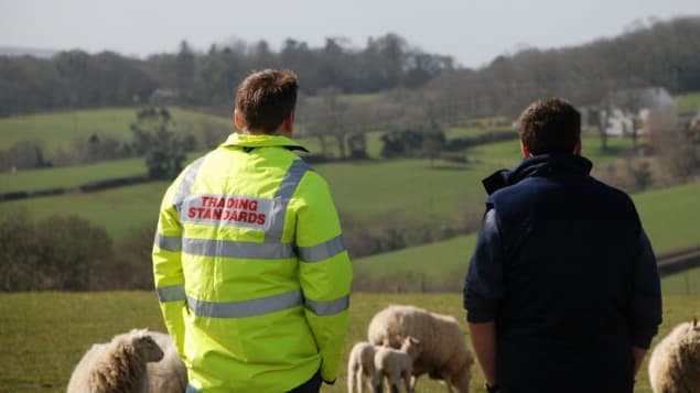Trading Standards urge struggling farmers to seek help following cattle ...